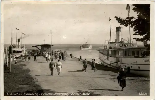 Ostseebad Kahlberg - Krynica Morska -226528