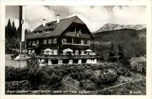 Mürzzuschlag/Steiermark - Alpengasthof Hubertushof mit Hoher Veitsch -309860