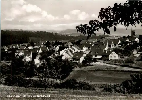 Steinegg im Schwarzwald -227378