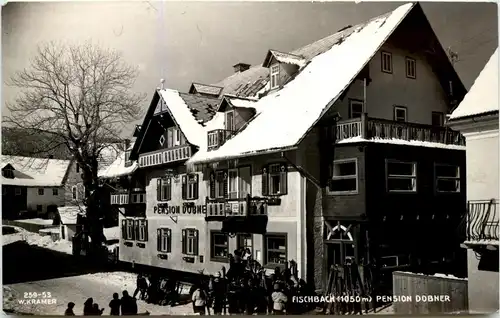 Weiz/Steiermark - Fischbach, Pension Dobner -310422