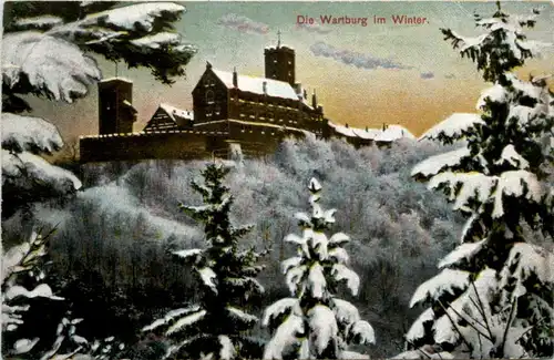 Die Wartburg im Winter -226824