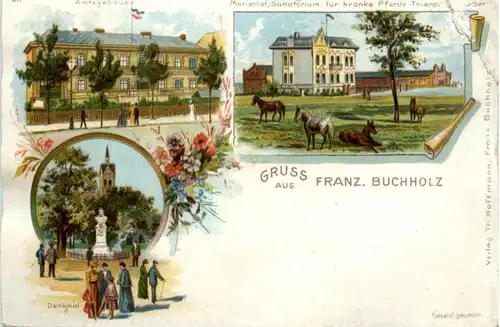 Gruss aus Franz. Buchholz - Litho -226520
