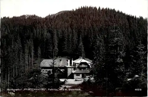 Mürzzuschlag/Steiermark - Alpengasthof Pfaffensattel Passhöhe -310666