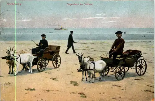 Norderney - Ziegenfahrt am Strande - Goat Ziegen -226418