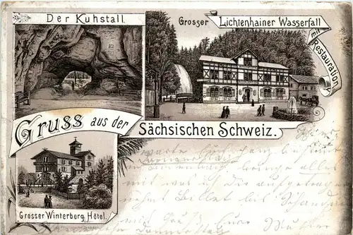 Gruss aus der sächs. Schweiz - Litho 1895 -227812