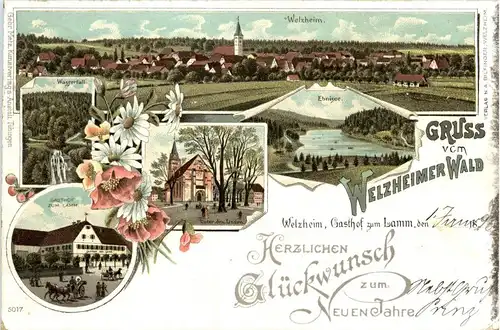 Gruss vom Welzheimer Wald - Welzheim - Litho -229104