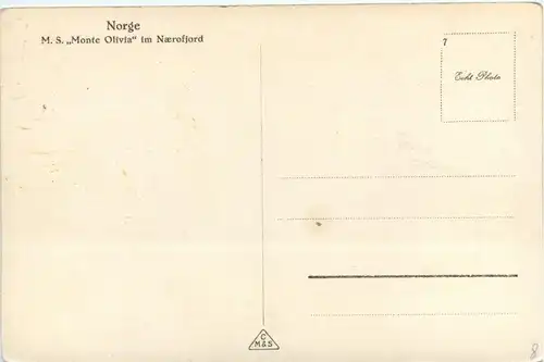 MS Monte olivia im Naerofjord -228000