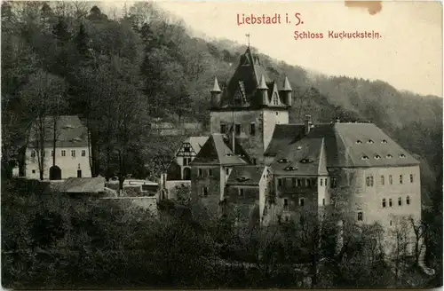 Liebstadt - Schloss Kuckuckstein -267858