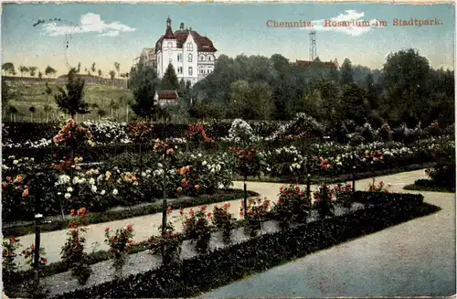 Chemnitz - Rosarium im Stadtpark -228134