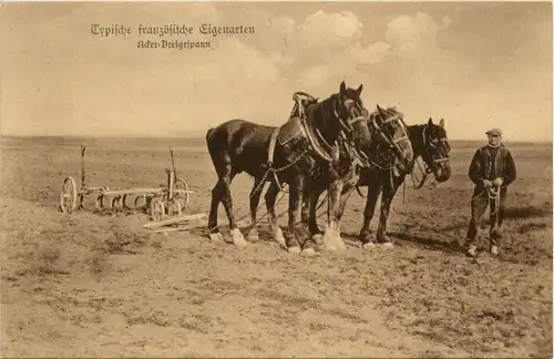 Typische französische Eigenarten - Acker Dreigespann -228930