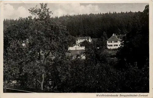 Bad Berggiesshübel - Zwiesel - Waldfriedenbaude -268000
