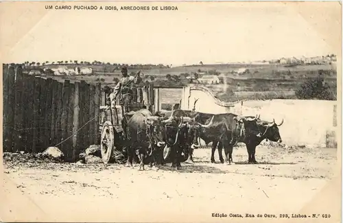 Um carro Puchado a Bois, Arredores de Lisboa -228016