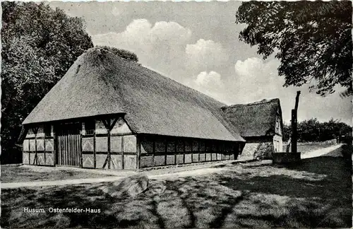 Husum - Ostenfelder Haus -230246