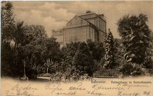 Hannover - Palmenhaus -230266