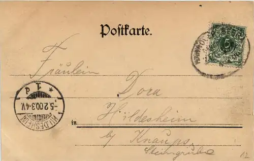 Hannover - Palmenhaus -230266