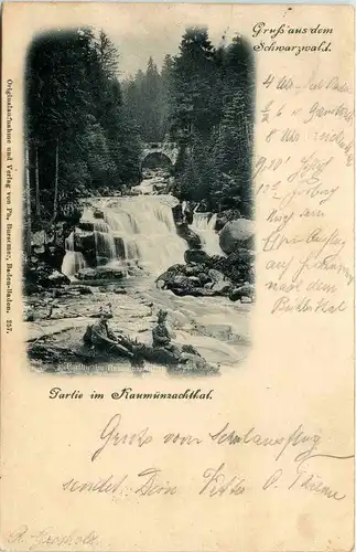 Gruss aus dem Schwarzwald - Partie im Raumünzachthal -230464