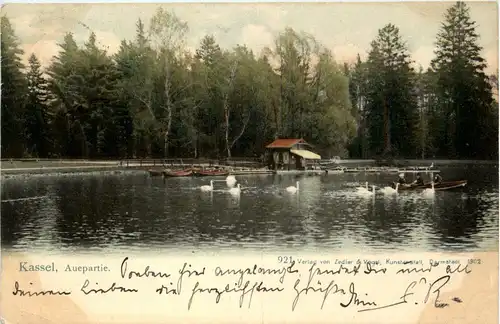 Kassel - Auepartie -229910