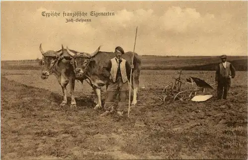 Typische französische Eigenarten - Jochgespann -228934