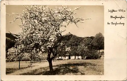 Jeschken bei Reichenberg -231478