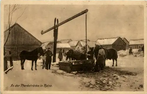 Kolno - Pferdetränke -231722