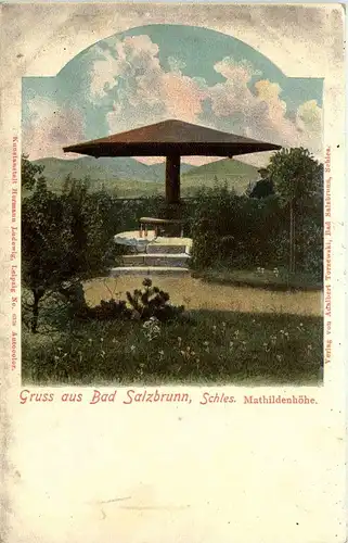 Gruss aus Bad Salzbrunn - Mathildenhöhe -231886