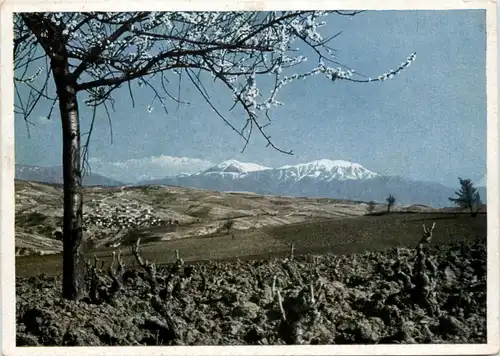 Vorfrühling in Südbulgarien -232100