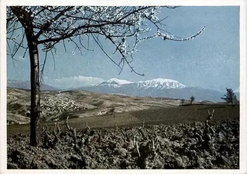 Vorfrühling in Südbulgarien -232114