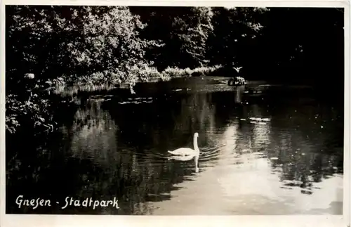 Gnesen - Gniezno - Stadtpark -231260