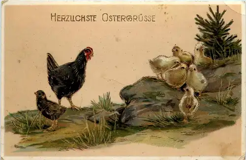 Ostern - Kücken chicken - Prägekarte -230670