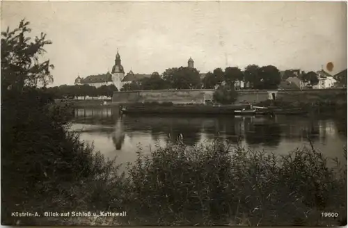 Küstrin - Blick auf Schloss -231624