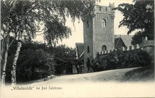 Wilhelmshöhe bei Bad Salzbrunn -231858