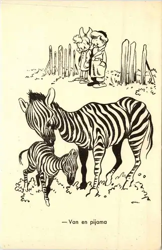 Zebra -231960