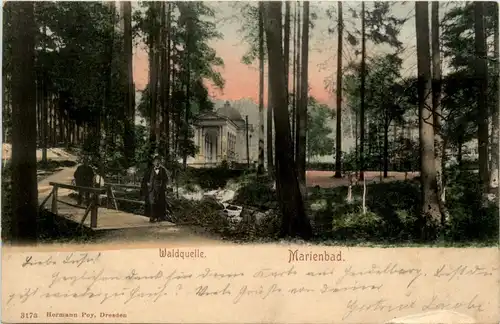 Marienbad - Waldquelle -231056
