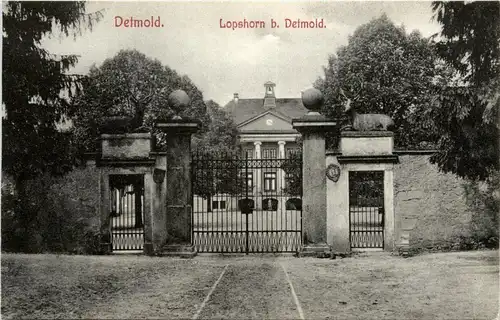 Detmold - Lopshorn bei Detmold -263634