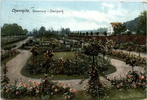 Chemnitz - Rosarium im Stadtpark -264116