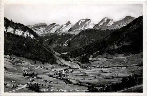 Stein mit Churfirsten -273116