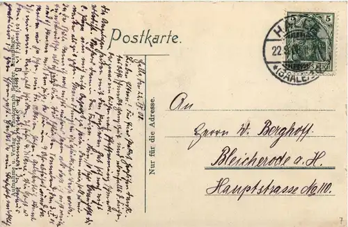 Braunlage - Kühe -264630