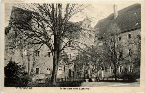 Wittenberg - Lutherhof -264056