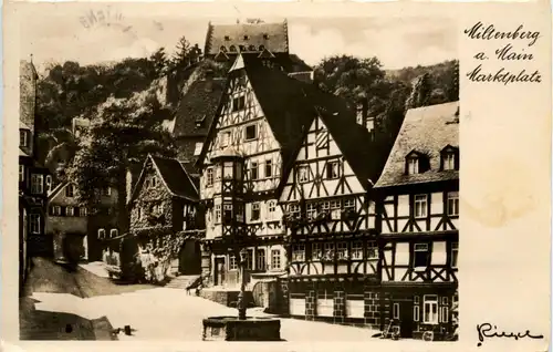 Miltenberg - Marktplatz -264220