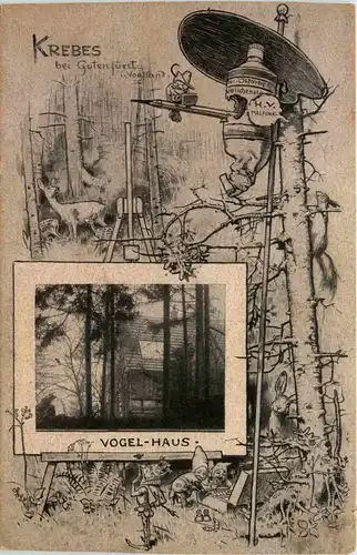 Krebes bei Gutenfürst - Vogel Haus -264980