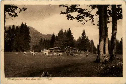 Bad Tölz - Waldherr Alm -265316