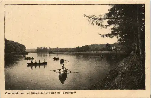 Oberwaldhaus mit Steinbrücker Teich bei Darmstadt -264168