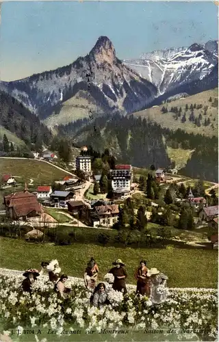 Les Avants sur Montreux -264784