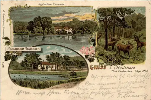 Gruss aus Paulsborn bei Zehlendorf - Litho -264668