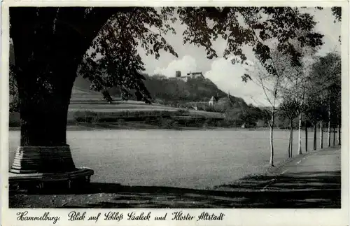 Hammelburg - Blick auf Schloss Saaleck -263748
