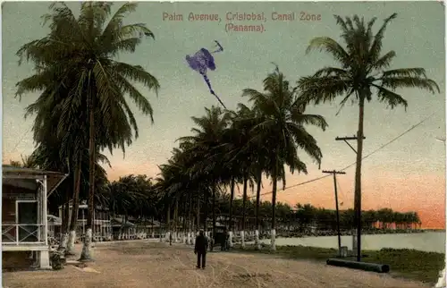 Panama - Christobal - Palm Avenue -281432