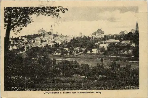 Cronberg im Taunus -265570