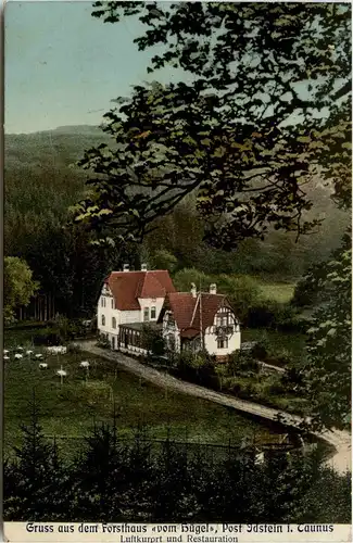 Idstein - Gruss aus dem Forsthaus vom Hügel -265530