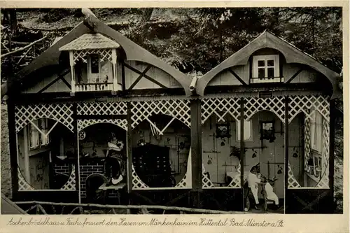 Bad Münster am Stein - Märchenhain im Huttental -264204