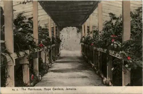 Jamaica - The Hot house Hope Gardens -265654